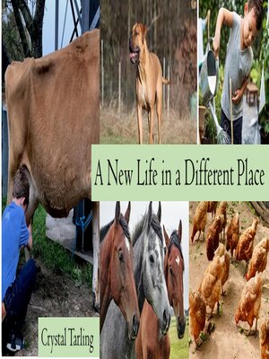 cover image of A New Life in a Different Place